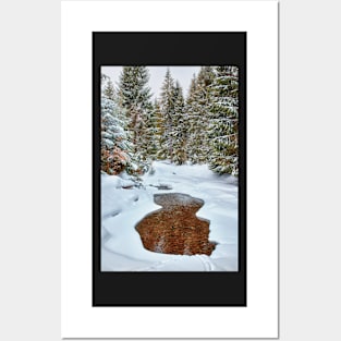 Mountain river in the winter Posters and Art